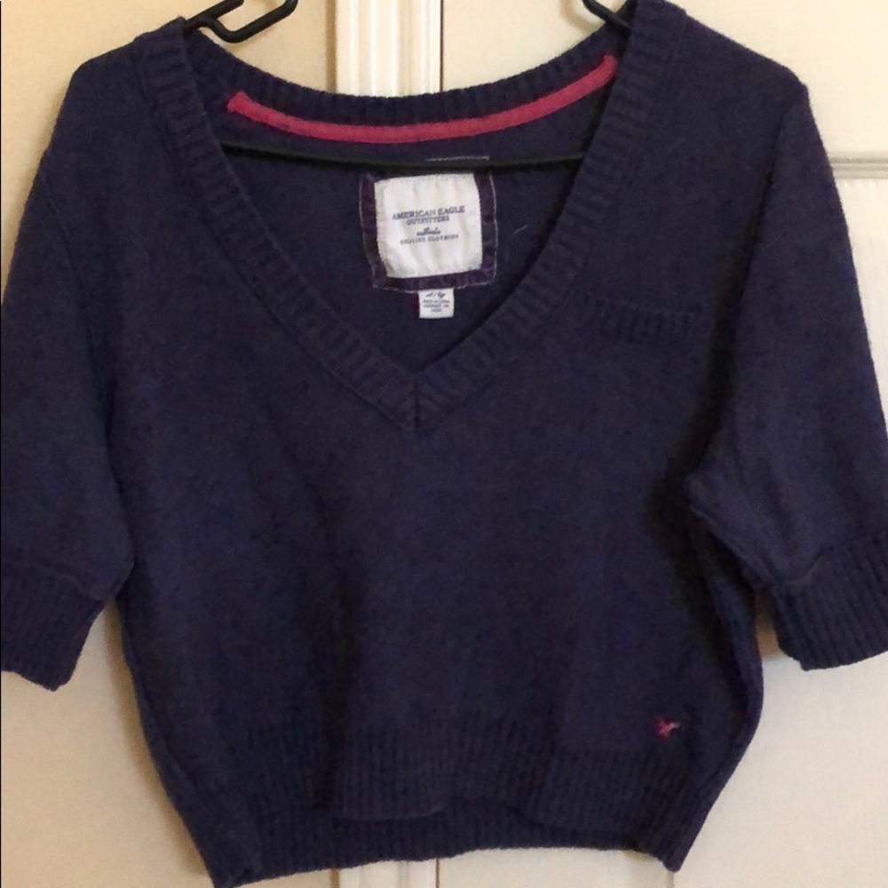 American Eagle Crop Sweater